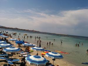 Campeggio la Mariposa img78