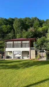 Wood House Gomi - Chala