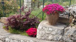 Rez de jardin, entre mer et montagne