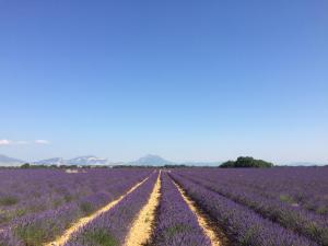 Appartements Vue imprenable, parking prive, lave-linge : Appartement 1 Chambre