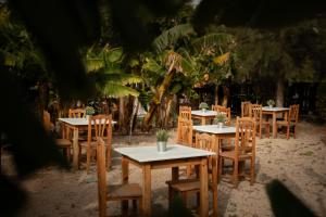 Nashira HOT TUB PISCINA Y JARDIN