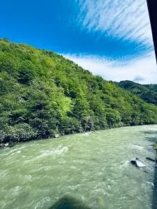 River House - Ardeşen