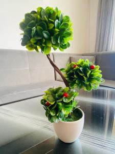 1 Bedroom Ap SeaView Peace and Quiet