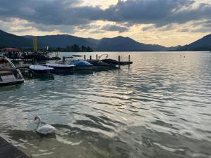 Wolfgangsee Ferienappartement Seeliebe