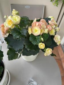 Chambre chez lhabitant avec Salle de bain à partager - homestay