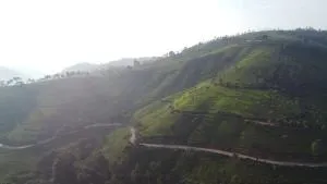 Case de Selas - Coonoor