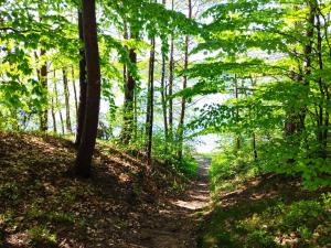 Domek pod Leszczyną na Kaszubach