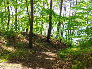 Domek pod Leszczyną na Kaszubach