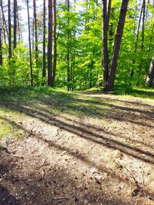 Domek pod Leszczyną na Kaszubach