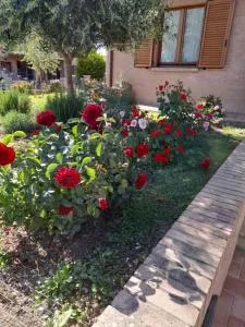 Un passo alla volta - Torrenieri