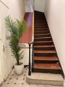 - - Maison ŪMA - - Wifi, Netflix, Mer et Centre