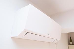 Il Viandante di Trieste