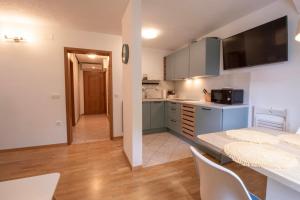 Apartment above Lake Bled