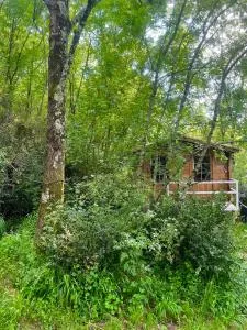 Cabane dans les bois - Cambo Cabane dans les bois - Cambo