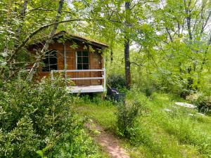 Campings Cabane dans les bois : photos des chambres
