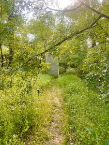 Campings Cabane dans les bois : photos des chambres