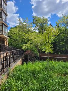 Центр, біля Медичного університету, вулиця Личаківська