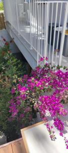 CASA VACANZA ANNA FRANK - CAMPOMARINO di MARUGGIO (TA)