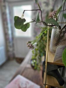 Croí Beag Luxury Studio Omeath