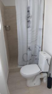 Appartements **** VERY CENTRAL Ajaccio 36 rue Fesch, cosy flat in city center pedestrian street, up to 4 people **** : photos des chambres