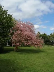 zénitude - 奥格地区伯夫龙