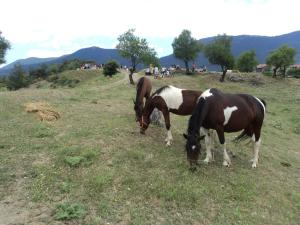 Archontiko Nikolopoulou Arkadia Greece