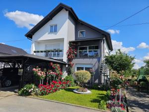 Apartman Vesna