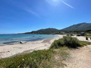 Appartements Studio climatise tout confort a 100 m de la plage : photos des chambres