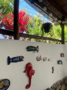 Blue Dream - Amalfi Coast