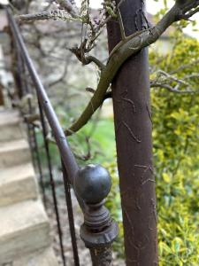 Ô Bonheurs Simples dEcorsaint Ici Doucement