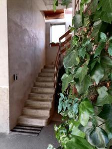 Appartements Appartement et terrasse privee : photos des chambres