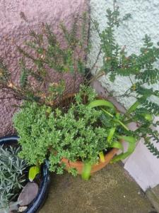 West View Cottage in Seaside Village of Allonby Cumbria