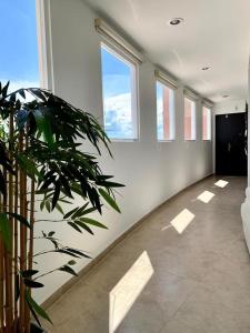 Great Penthouse of Luxury in Cancún Dream Lagoon