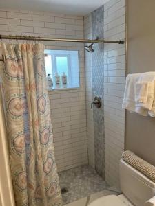 Cozy 1 bedroom in the heart of Brighton