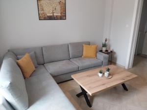 Vasilikis place