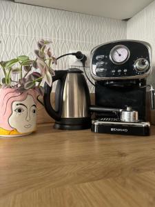 SopraBosco Calcata Art & Design Apartment