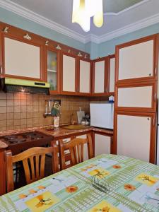 Katerinas Cozy Apartament Golem