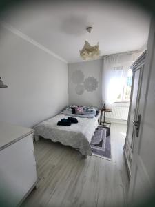 Apartamenty Olimpijska