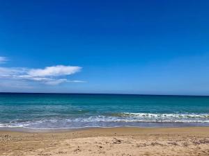 Las Dunas Playa Premium