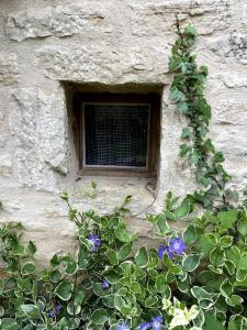Maisons de vacances O Bonheurs Simples d-Ecorsaint Il etait une fois : photos des chambres