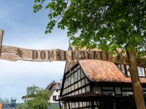 U Beaty - 鲁恰内尼达