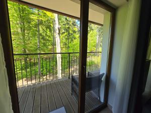 Apartament z pięknym widokiem na las