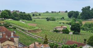 Maisons de vacances Maison cosy avec vue sur les vignes. : photos des chambres