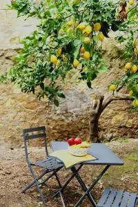 Profumo di Calicanto - Suni