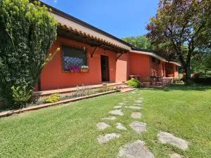 Casale Valle Cardinale - 科莱费罗