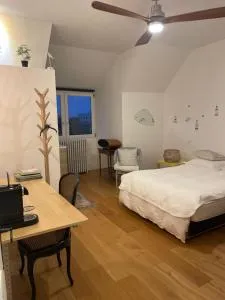 Chambre confortable équipement +++ côté Paris - 马恩河畔诺让