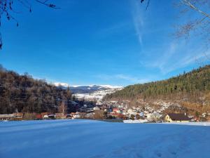 Drevenica Alica Hronec Nízke Tatry