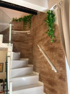 Casa Donna Francy City Center