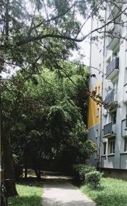 Drzewna Apartamenty - Władysława