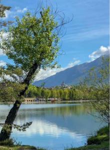 Appartements Agreable T2 en rez de jardin a 2 pas du plan d'eau : photos des chambres